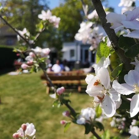B&B De Koffietuin Бикберген Экстерьер фото